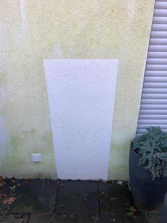 Algen auf der Probefläche entfernt