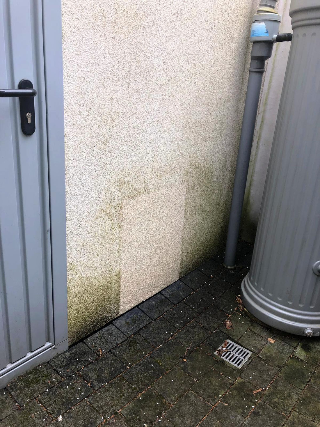 Hier das Ergebnis einer kostenlosen Musterfläche
