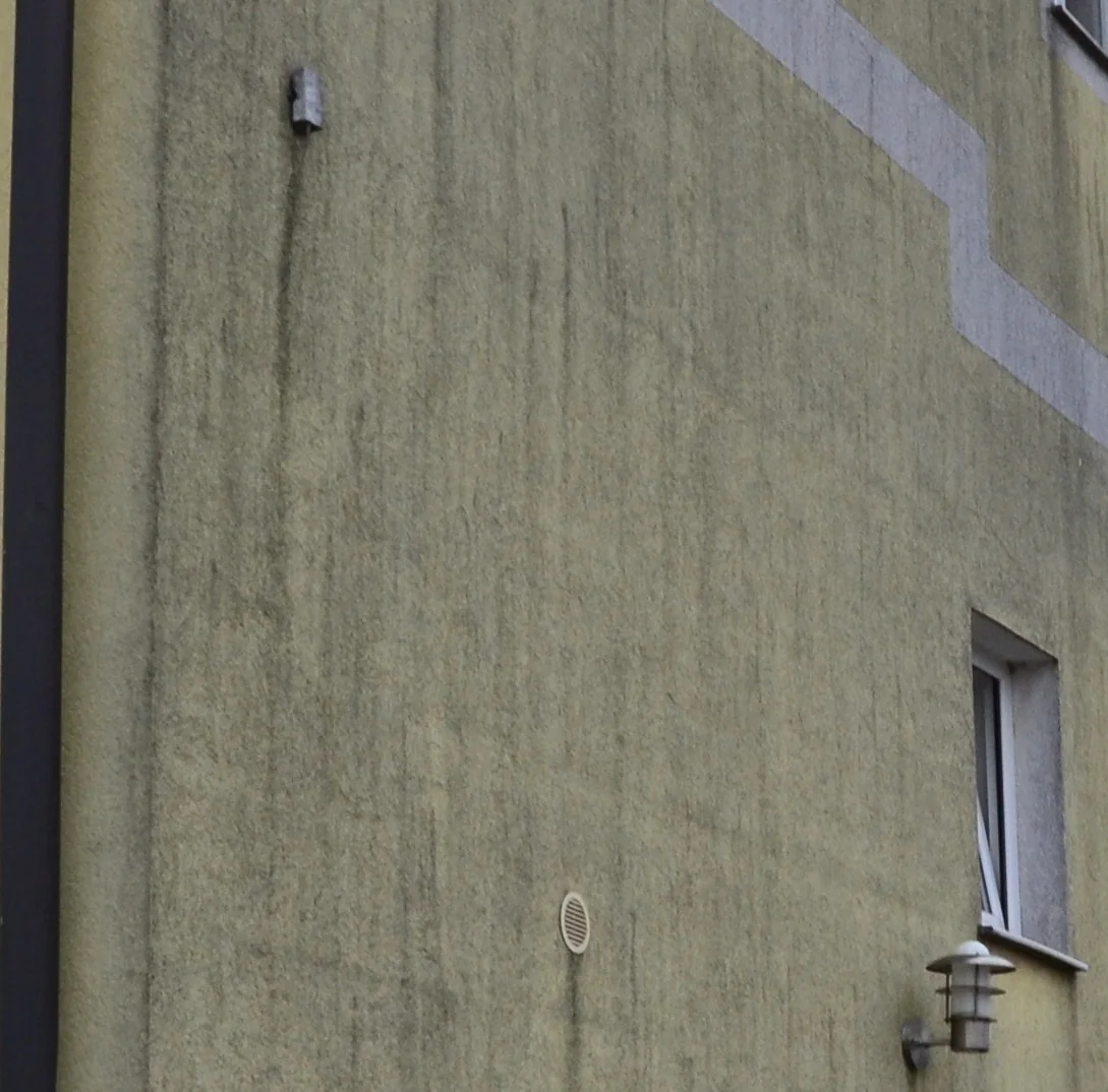 Fassadendetail aus der Naehe vor der Reinigung: graugruener Belag ueber dem gelben Putz