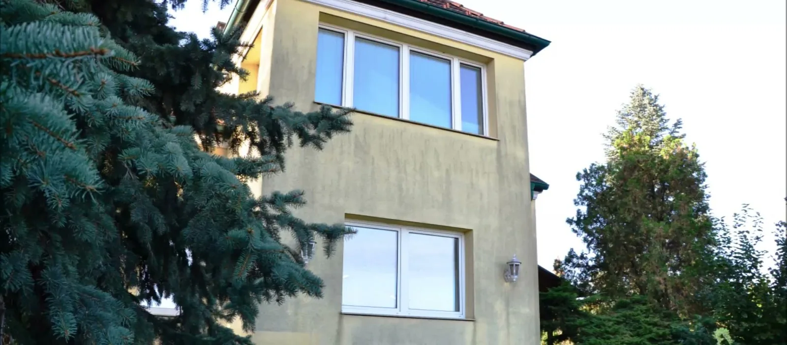 Einfamilienhaus vor der Fassadenreinigung: graugruener Algenbelag auf der Putzfassade
