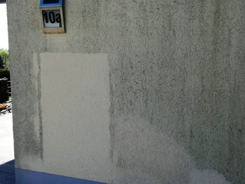 Kosten einer Algenentfernung an der Fassade, werden anhand der Musterfläche berechnet