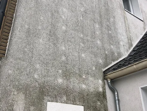 Die Reinigung der Fassade bei Algenbefall prüft man vorab
