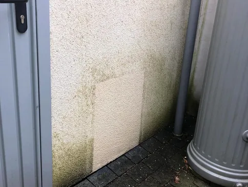 Hier das Ergebnis einer kostenlosen Musterfläche